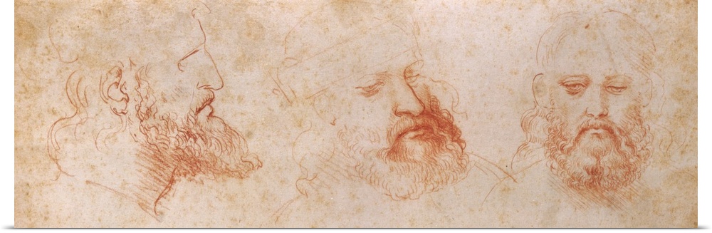 Leonardo da Vinci, Profile, three-quarter and frontal study of a male head, possibly a portrait of Cesare Borgia, 1502, 16...