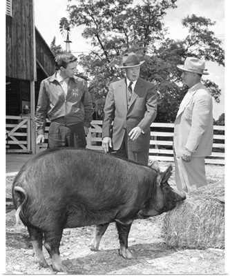 President Eisenhower presented with a Berkshire Gilt pig