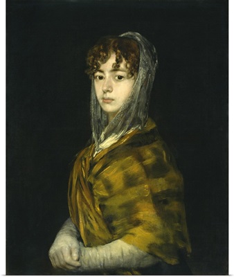 Senora Sabasa Garcia, by Francisco de Goya, c. 1806-11, Spanish painting