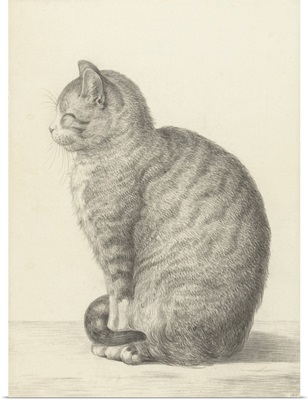 Sitting Cat, Facing Left, by Jean Bernard, 1825, Dutch chalk and pencil drawing