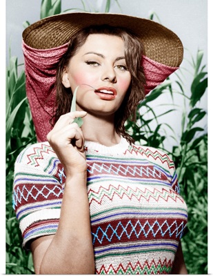 Sophia Loren - Vintage Publicity Photo