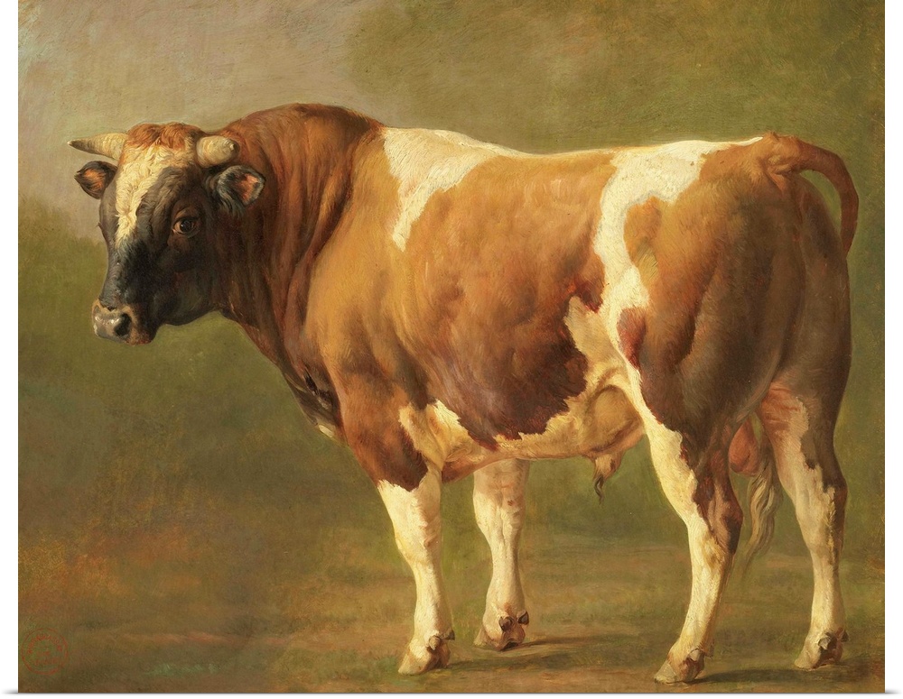 Study of a Bull, Jacques Raymond Brascassat, 1830-67, French painting, oil on canvas.
