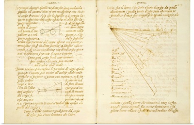 Study Of The Light On Male Face, Code Vatican Urbinate Lat. 1270, By Leonardo Da Vinci