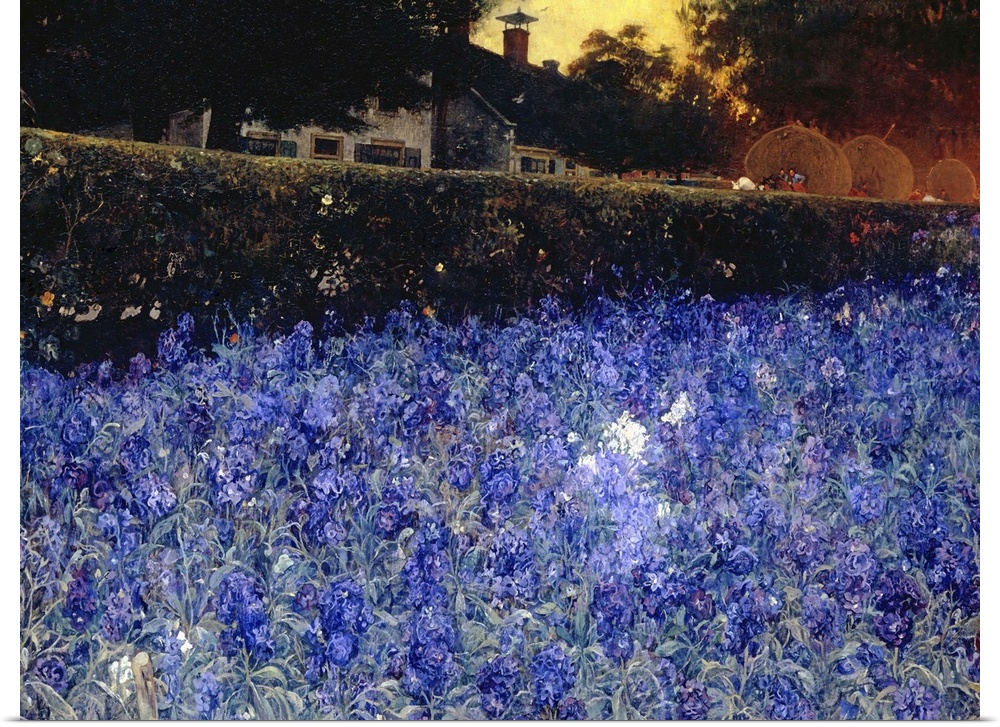 Summer Luxuriance, by Jac van Looij, c. 1890-1910, Dutch painting, oil on canvas. Bed of blue-purple flowers against the w...