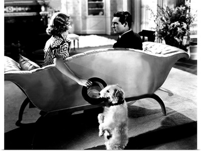The Awful Truth - Movie Still