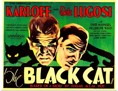 The Black Cat - Vintage Movie Poster