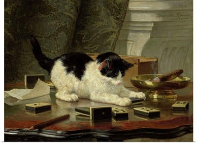 The Cat at Play, by Henriette Ronner, c. 1860-78, Belgian-Dutch painting on panel