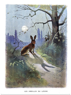 The Hare Afraid by His Ears, La Fontaine's Fables