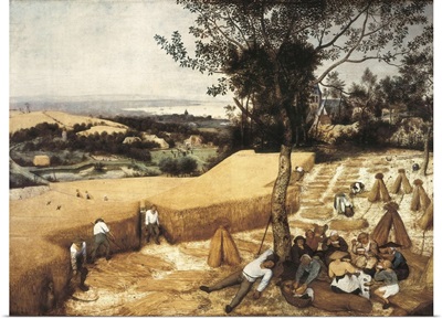 The Harvesters (1525-1569)