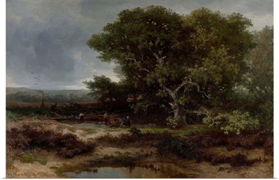 The Heath near Wolfheze, 1866 Dutch painting, oil on canvas