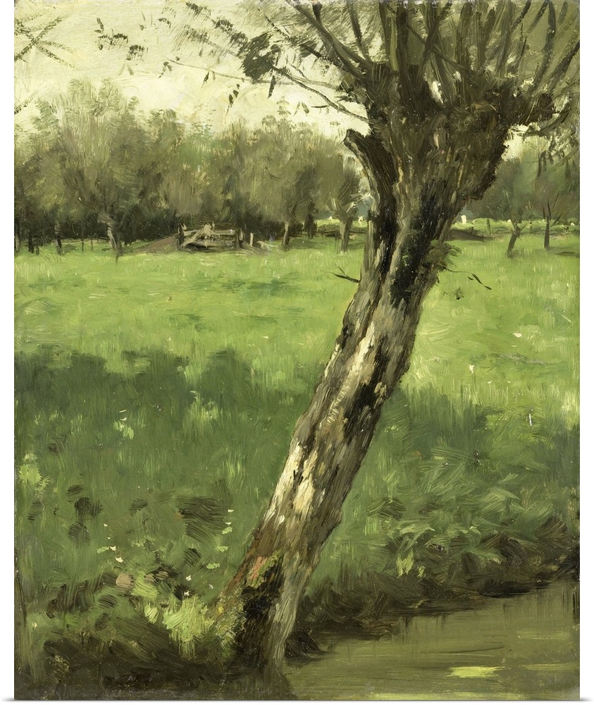The Willow, by Geo Poggenbeek, c. 1873-1903, Dutch oil painting. Tilted pollard willow next to a drainage ditch at the edg...