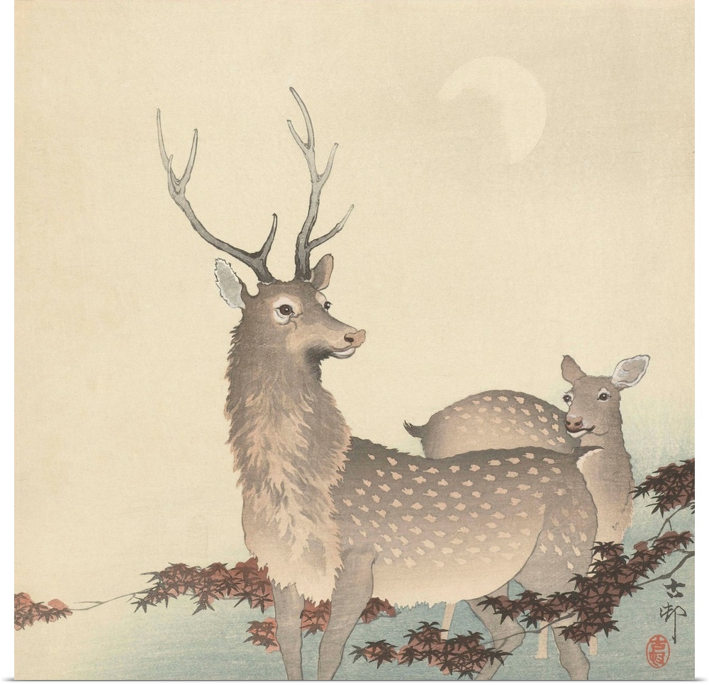 Two Deer, by Ohara Koson and Matsuki Heikichi, c. 1900-30, Japanese print, woodcut,.