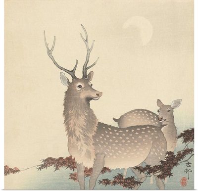 Two Deer, c. 1900-30, Japanese woodcut