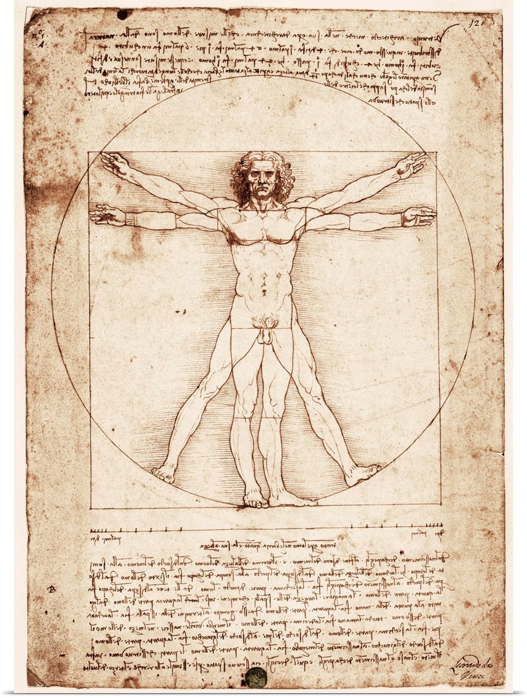 Vitruvian Man. 1492. Renaissance art. Cinquecento. Drawing. ITALY. Venice. Gallerie dell'Accademia (Academy Gallery). -