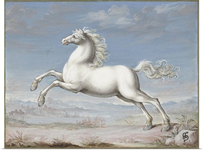 White Horse, by Joris Hoefnagel, 1560-99