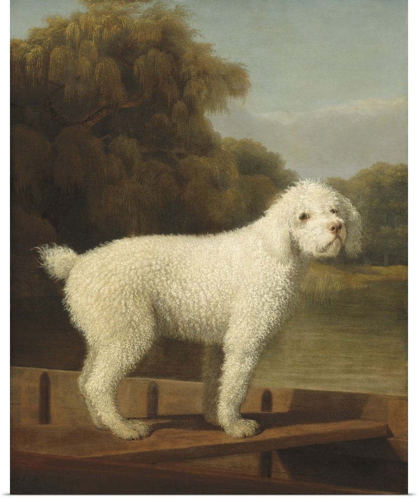 White Poodle in a Punt, by George Stubbs, 1780, British painting, oil on canvas. Self-taught painter Stubbs, was best know...