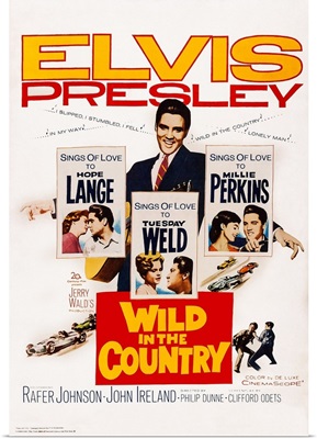 Wild in the Country, 1961, Poster