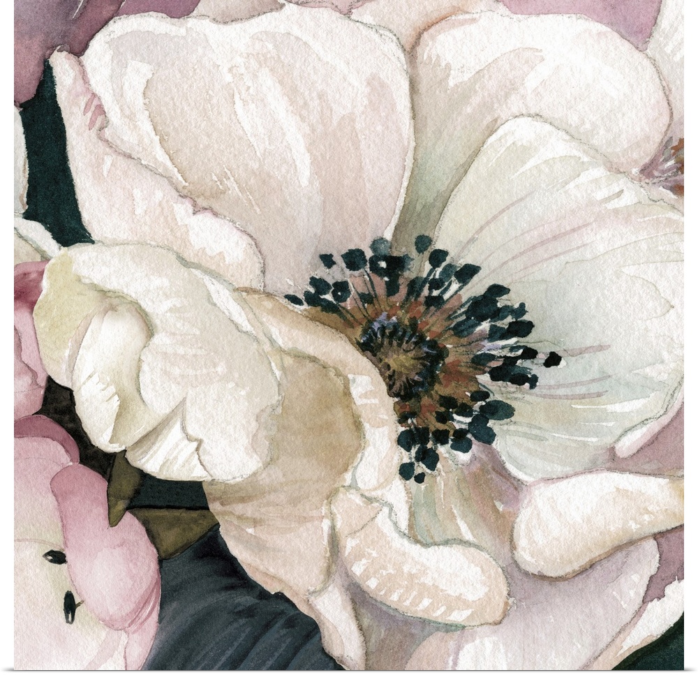 Close-up painting of a white anemone with pink petals surrounding it, on a square background.