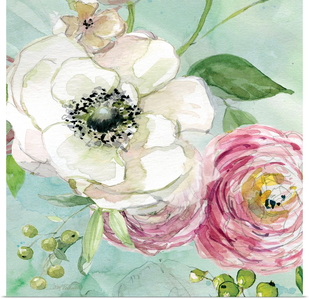 A watercolor of white and pink flowers on a light blue background.