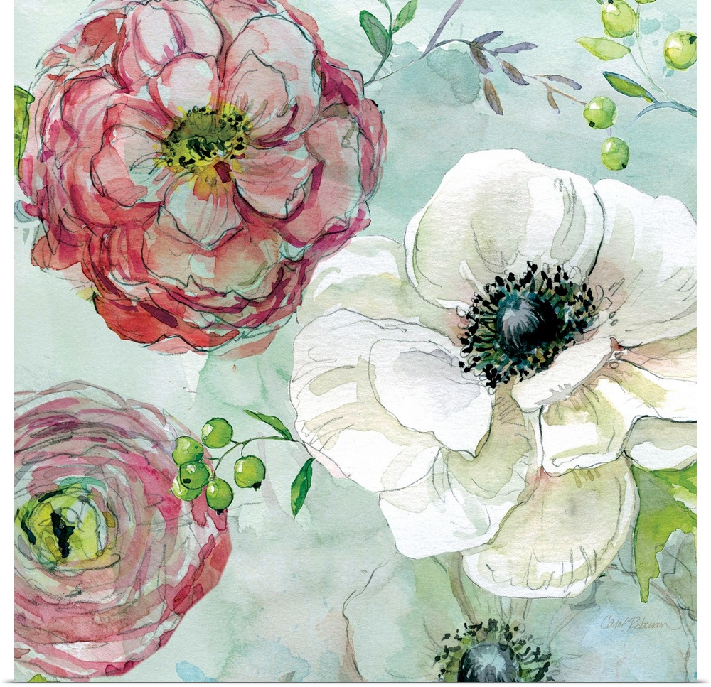 A watercolor of white, red and pink flowers on a light blue background.