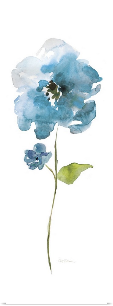 Watercolor painting of a bright blue flower on a white background.