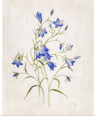 Blue Botanical I