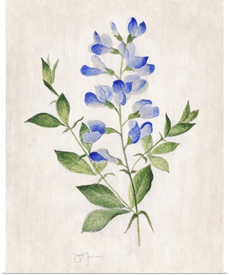 Blue Botanical II