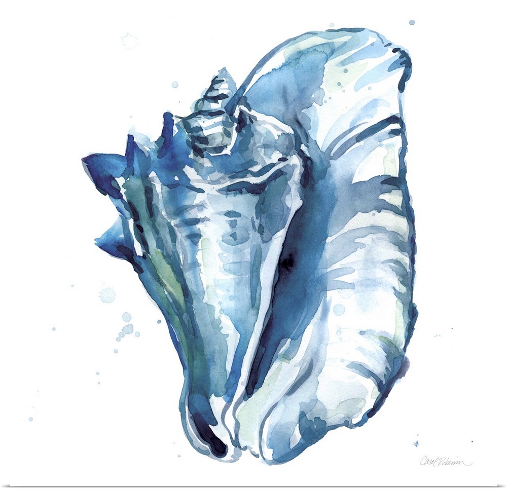 Square watercolor painting of a conch shell made in shades of blue with hints of green on a white background with a little...