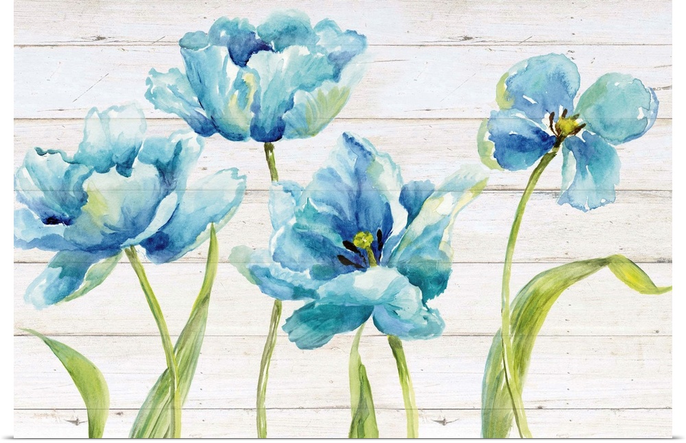 Watercolor painting of four blue tulips on a distressed white shiplap background.