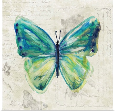 Butterfly Sketch IV