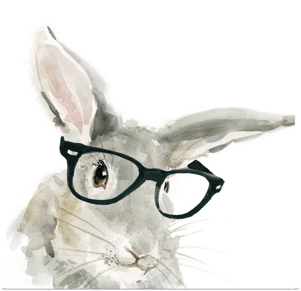 Watercolor painting of a gray rabbit wearing big black rimmed glasses on a white square background.