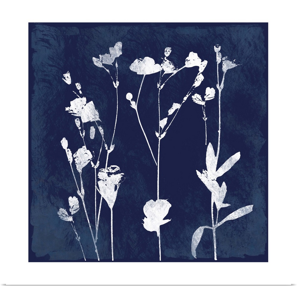 Square cyanotype of white silhouetted flowers on an indigo background with a white boarder.