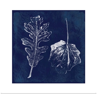 Cyanotype Oak Leaves