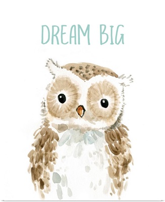 Dream Big Owl