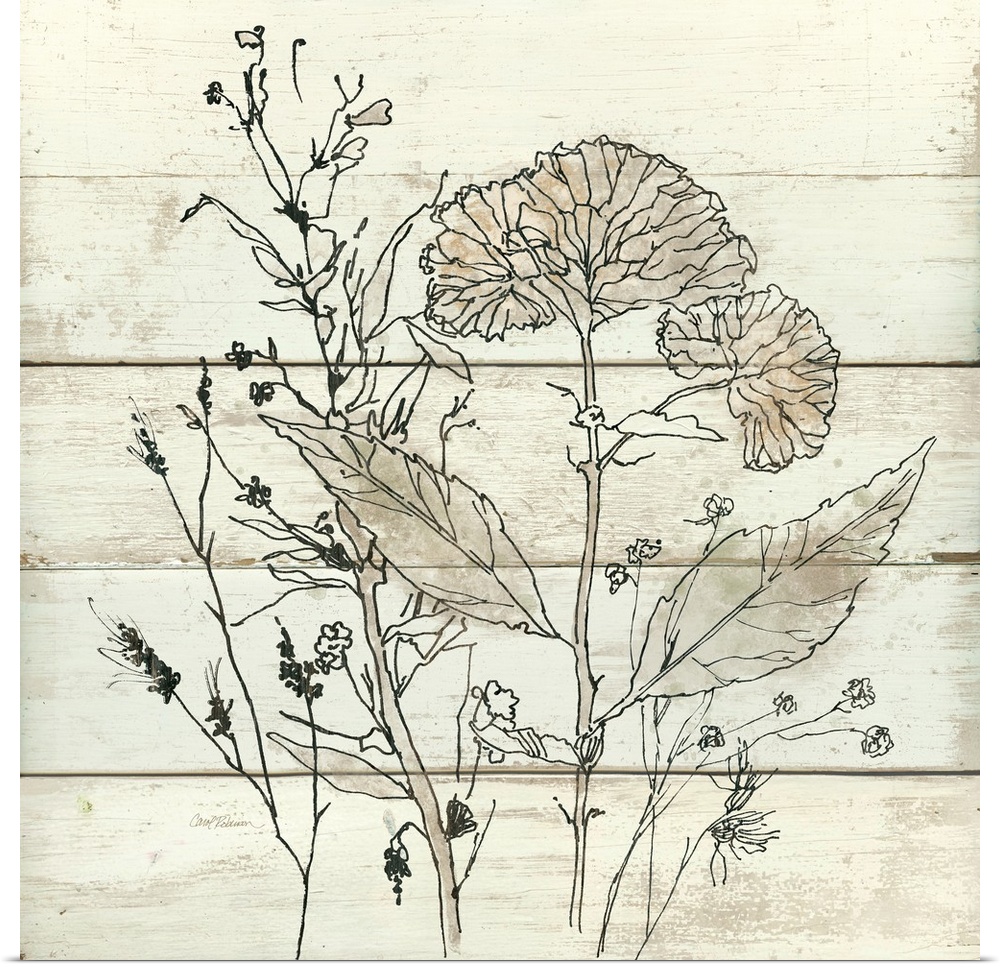 Square illustration of dried flowers on a white wooden background.