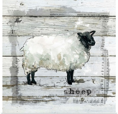 Farmhouse Collage Sheep
