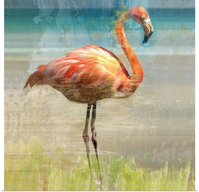 Flamingo Fancy I