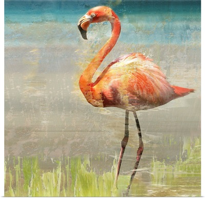 Flamingo Fancy II