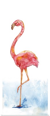 Flamingo Splash II