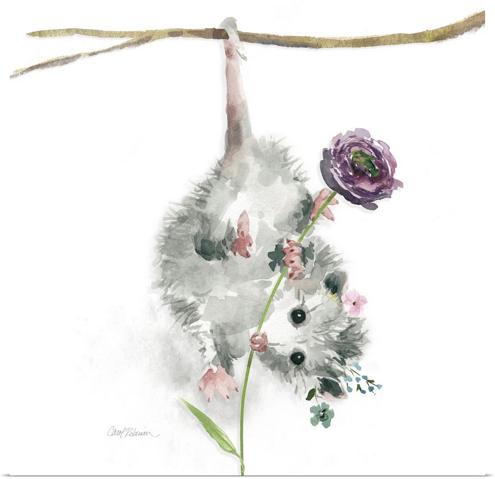 A watercolor painting of a garden possum hanging upside down from a branch wearing a flower crown and holding a long stemm...