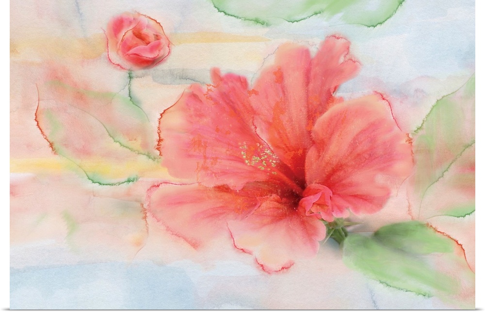 Contemporary watercolor painting of a pink hibiscus flower with green leaves on a background that has hints of blue, yello...
