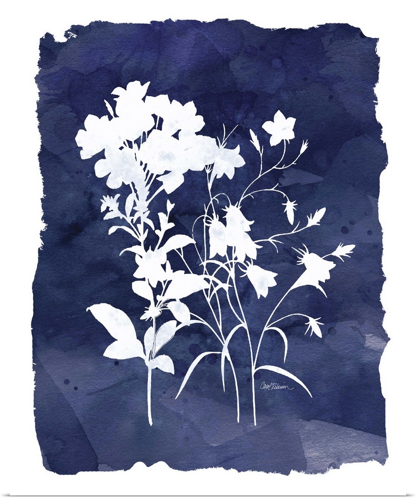 Cyanotype with white silhouetted flowers on an indigo background with a white boarder.