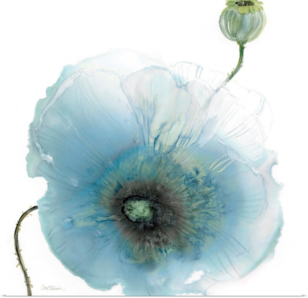 Iridescent Blue Poppy I