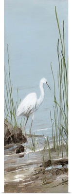 Island Egret I