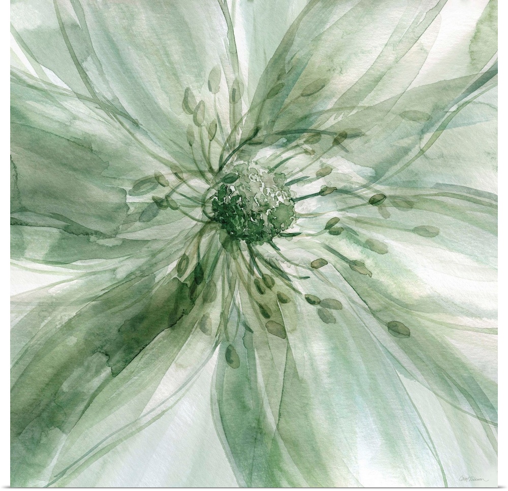 Square watercolor painting of a large flower in shades of green taking up the whole frame.