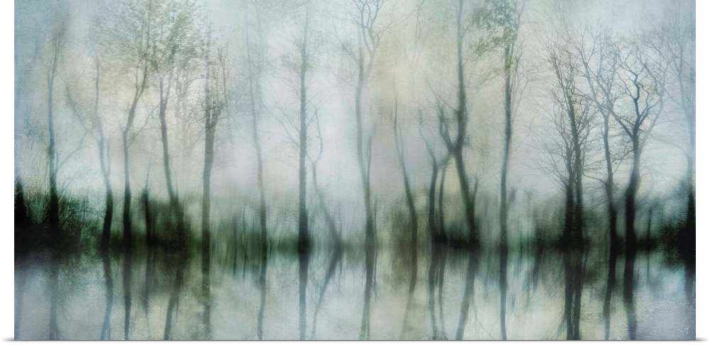 Contemporary artwork of shadowy bare trees at the edge of a pond.