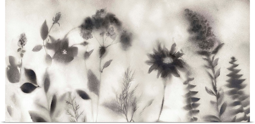 Contemporary painting of obscured black and gray wildflowers on a light background during a misty morning.