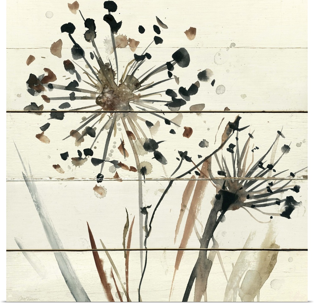 Square abstract watercolor painting of neutral toned dandelions on a white wood paneled background.
