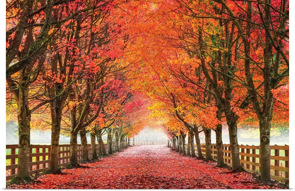 Landscape photograph of a road covered in Autumn leaves and lined with a wooden fence and trees.