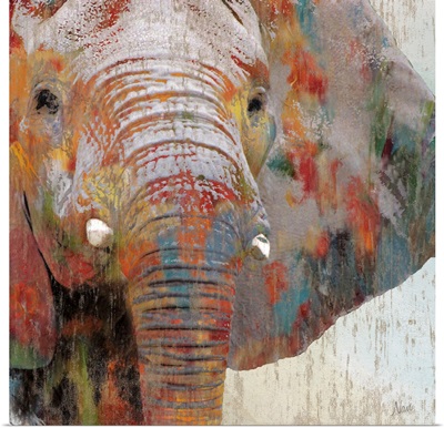 Paint Splash Elephant